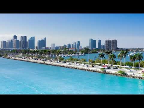 🔴 LIVE Miami Traffic