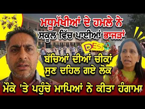 ਮਧੂਮੱਖੀਆਂ ਦੇ ਹ/ਮ.ਲੇ ਨੇ ਸਕੂਲ ਵਿੱਚ ਪਾਈਆਂ ਭਾਜੜਾਂ ਬੱਚਿਆਂ ਦੀਆਂ ਚੀ.ਕਾਂ ਸੁਣ ਦਹਿਲ ਗਏ ਲੋਕ ਮੌਕੇ 'ਤੇ ਪਹੁੰਚੇ