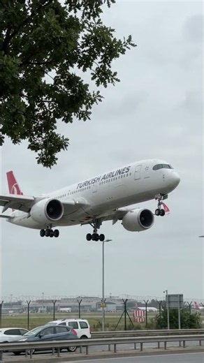 Aeroméxico 787-9 Dreamliner Glides Out From Behind a Roadside Tree#Aeromexico #Boeing787 #Dreamliner