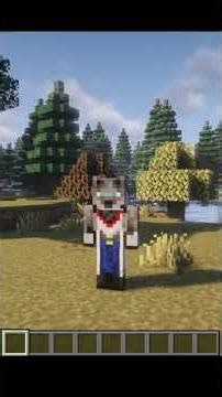 Minecraft Mods installieren leicht gemacht! 🐺🎮