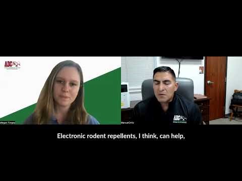 Do Electronic Rodent Repellents Actually Work? | Ask an Expert