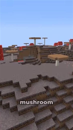 What Is The Rarest Biome In Minecraft? #minecraft #shorts
