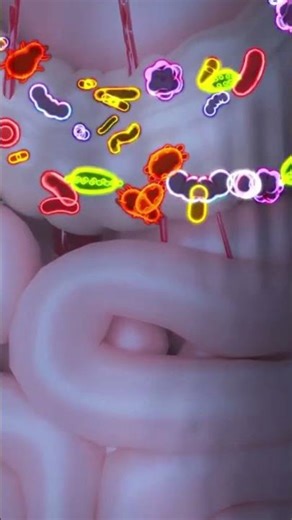 Scientists Discover Natural Molecule That Triggers Ozempic-Like Weight Loss