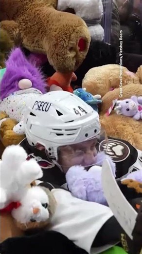 'Teddy Bear Toss' charity event collects more than 80,000 toys