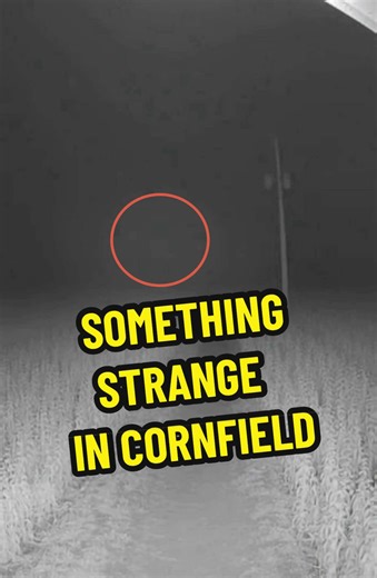 Exploring Crop Circles: UFOs, Aliens, and Phenomena