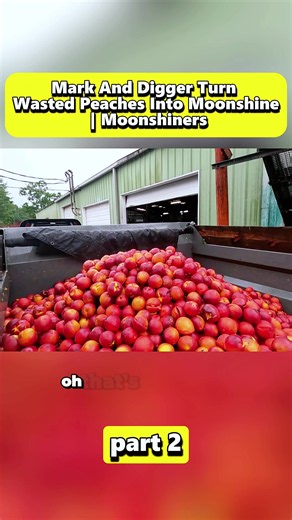 Moonshine Basics: Part 2 — Moonshiners & Wild Life