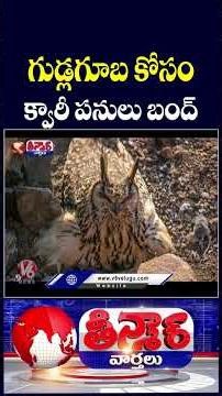 Rare Indian Rock Eagle Owl Appear Stone Quarry In Vikarabad | V6 Teenmaar