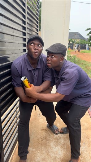 Identical Twins' Christmas Proposal