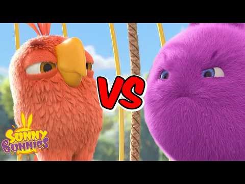 Sunny Bunnies | Big Boo VS The Parrot | Kids Cartoons