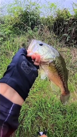 Insane fishing moment caught on camera #hunting #incredible
