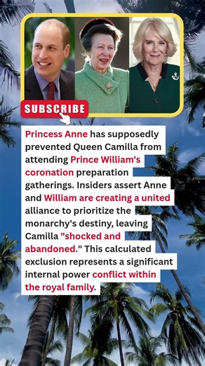 JUST IN: Royal Power Struggle Explodes — Anne & William Reportedly Sideline Camilla