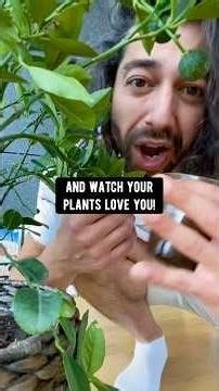 How to upcycle coffee and tea | creative explained