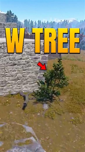 W Tree Placement 😳 #rust #shorts #qaixx