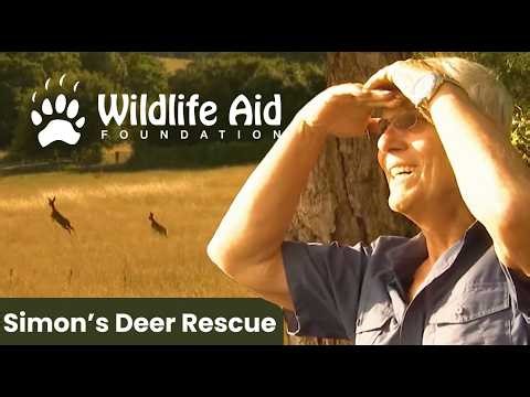 Simon Cowell's Most Memorable Rescue Ever