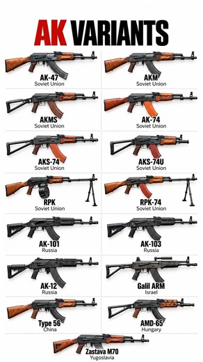 AK Variants Explained 🔥 | 15 Different AK Rifles