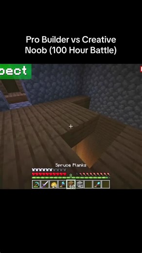 Minecraft 100 Hour Build Battle: Pro vs. Noob