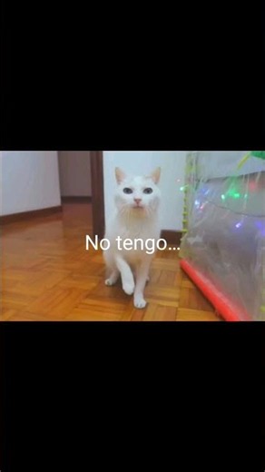ok, me abrio la CABEZA...!
