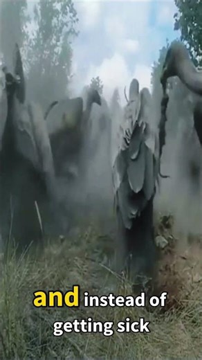 Why This Deadly Meal Can’t Kill Vultures