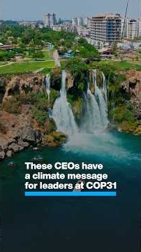 These CEOs have a climate message for leaders at COP31