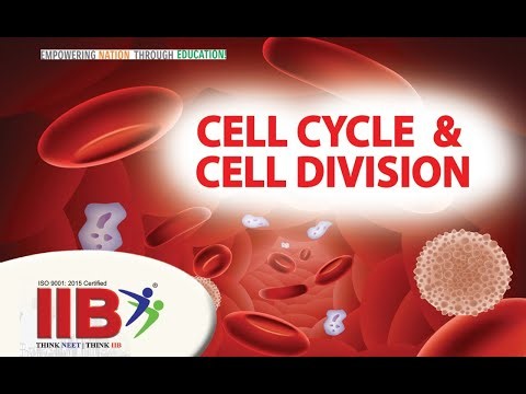 7. 10:2 Cell Cycle & Cell Division - M Phase or Mitosis
