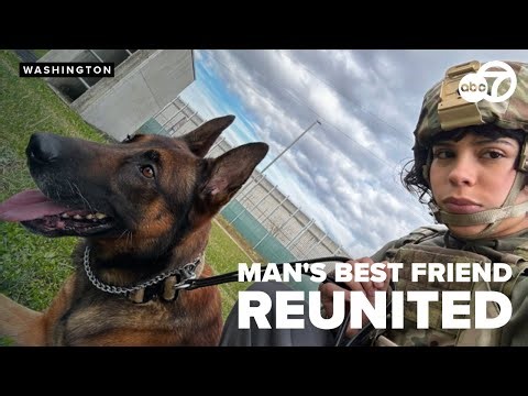 Emotional reunion: retired U.S. Army dog flies home from Italy to be adopted by ex-handler