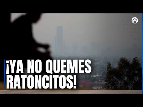 ¿Hay Hoy No Circula? Sigue contingencia ambiental en CDMX