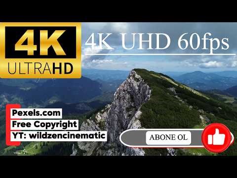 4K 60FPS Free Stock Footage | Peaceful Nature View Through Window | No Copyright Video (Pexels)