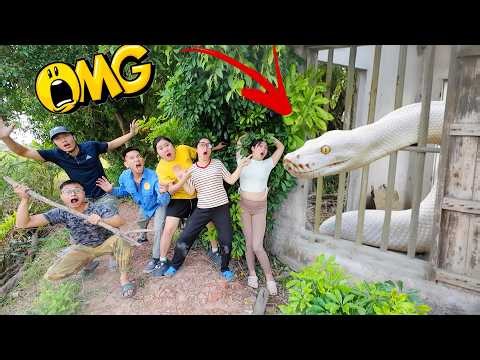Brave experts risked their lives to rescue beautiful girl attacked by giant white python