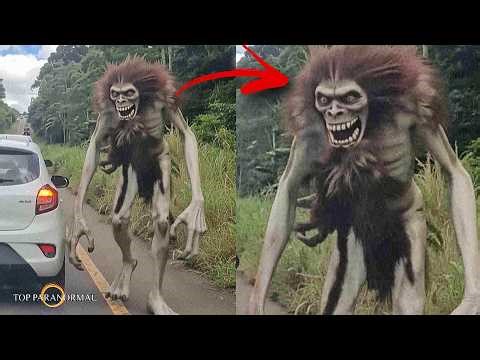 12 Videos of Paranormal Events Caught on Camera / Ghosts and Creatures Captured in 2026