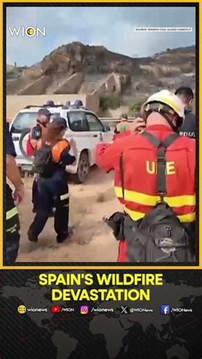 Spain Wildfire Devastation: Emergency Teams Assess Damage In Almería | WION Shorts