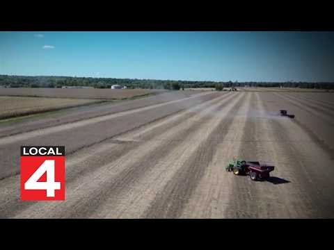 High diesel prices impacting farmers, consumers