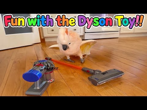 The vacuum toy is back! A full 8 minutes of fun! 🤩🧡