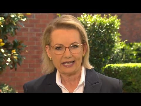 ‘Australians deserve a straight answer’: Sussan Ley asks what Albanese is hiding