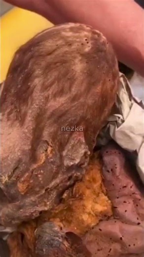 This Baby Alien Mummy Was Just Found 😳👽