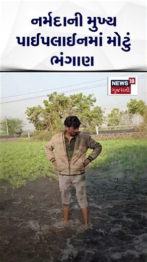 Dwarka Narmada Pipe Line | નર્મદાની મુખ્ય પાઈપલાઈનમાં મોટું ભંગાણ | Gujarati Samachar|N18S #shorts
