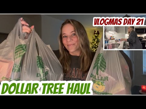 DOLLAR TREE HAUL | NEW| VLOGMAS DAY 21 | UNLOAD DISHES