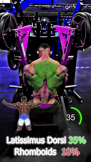 Best Machine Row Exercise #shorts #fitness #motivation