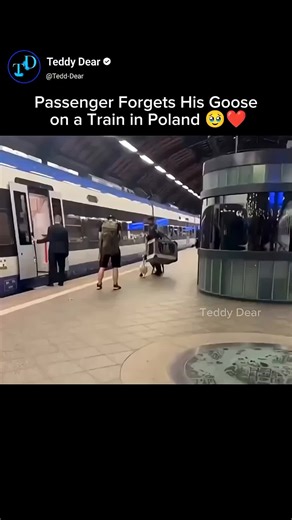 Smart Robot Trends & Tech Magic