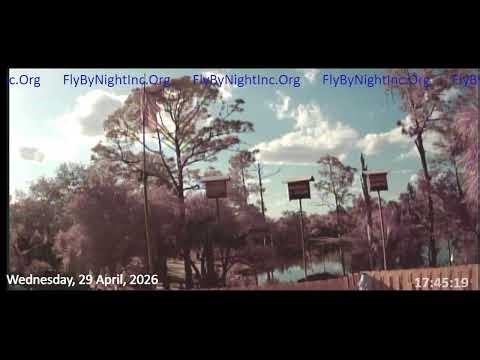 FBN Live BatCam