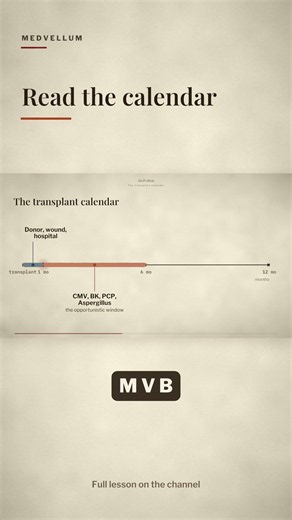 The Transplant Infection Timeline #shorts