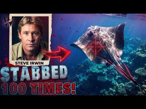 The Tragic Death of Steve Irwin: The Stingray Attack That Shocked the World