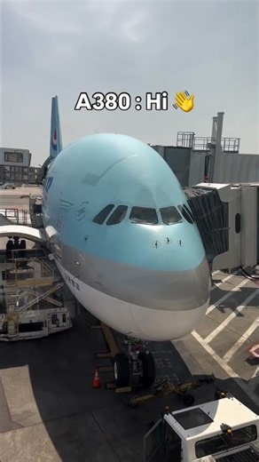 Nothing Beats the Airbus A380 Size! 🐋✈️
