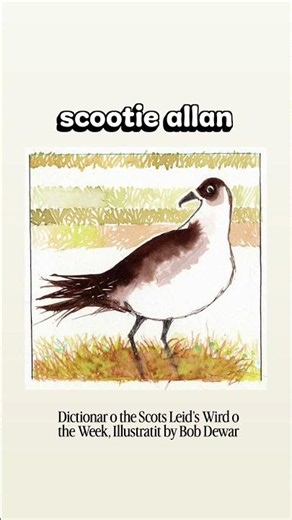 Scootie Allan