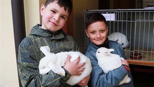 Zelený čtvrtek nabídl ve dvoře infocentra v Kyjově jarní program a domácí zvířata – Televize TVS