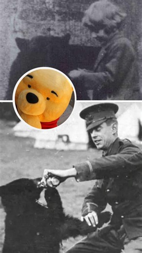 The tale of the real bear behind Winnie-the-Pooh