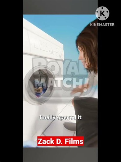 Cat Survives Washing Machine Cycle (Royal Match) #royalmatch