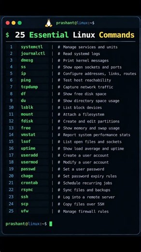 Essential Linux Commands