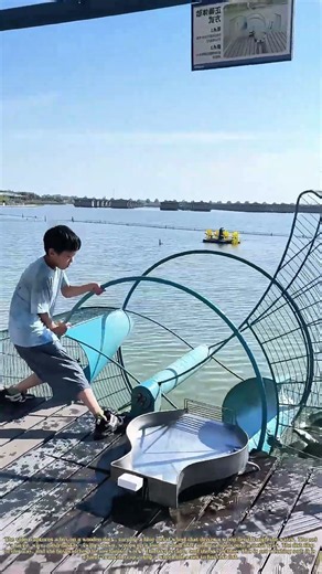 Cranking the Catch: How a Human-Powered Wheel Scoops Fish from a Lake