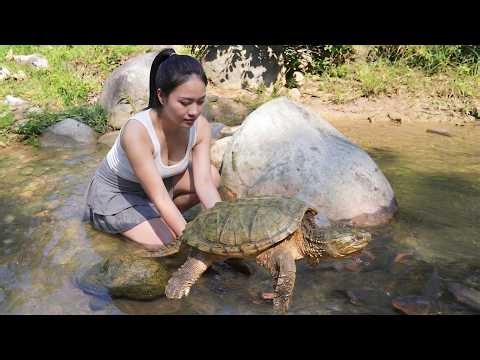 Catching Turtles with Bare Hands | Wild Water Fishing After Rain