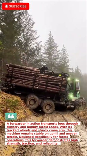 A Tough Forwarder Conquers Forest Terrain#viralvideo #shorts